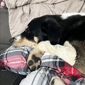 Meet your Posher, Nathan